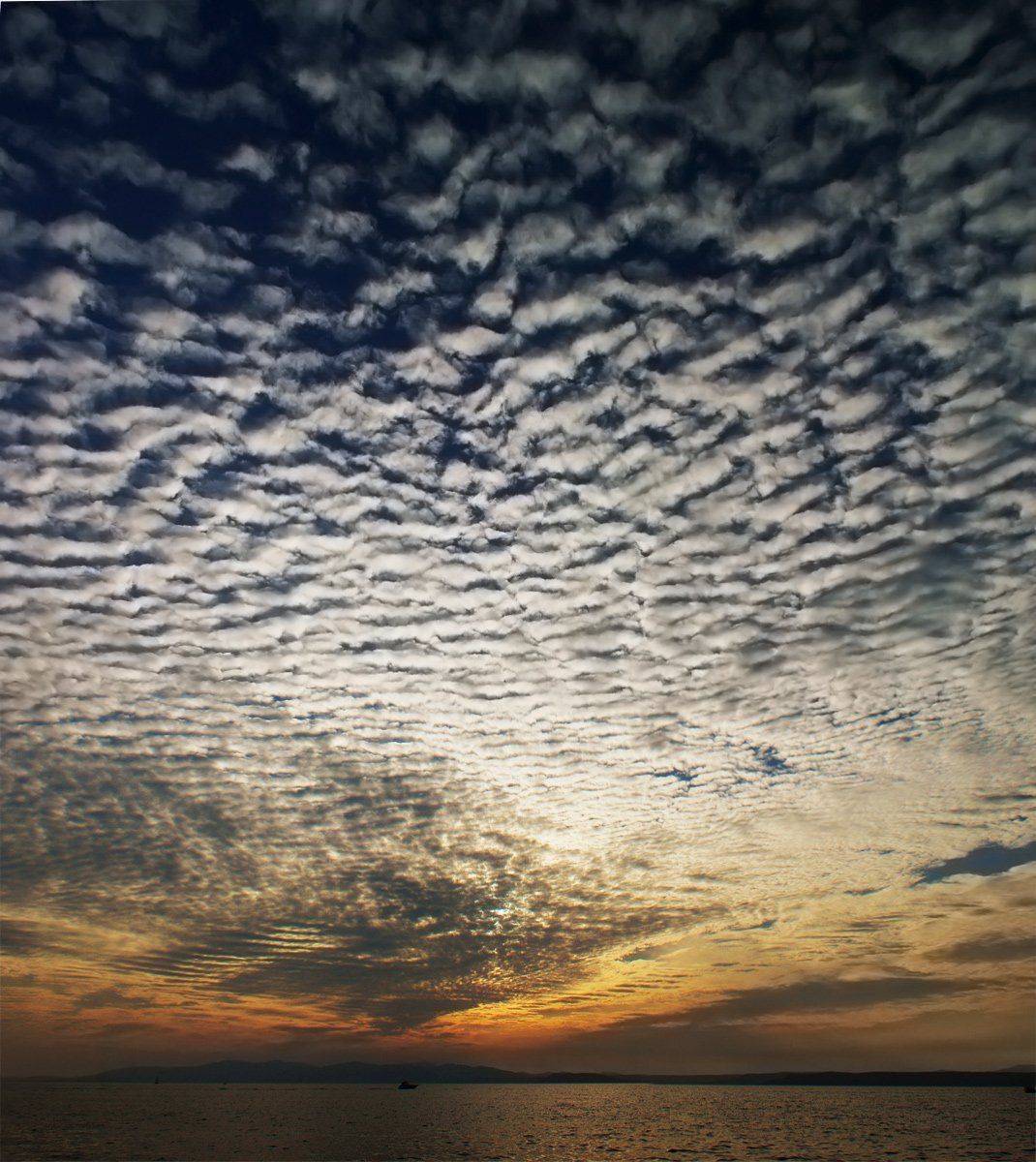 , олег сопов