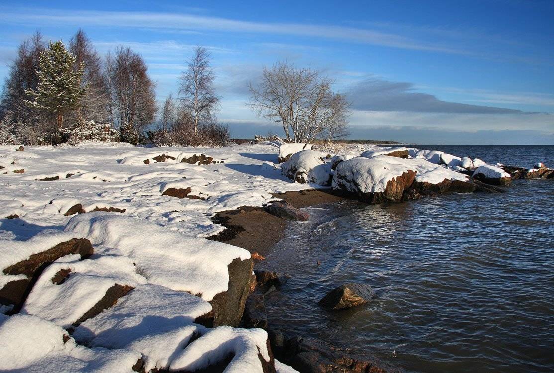 , Александр Коротков