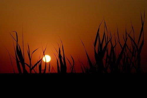 Приазовский закат