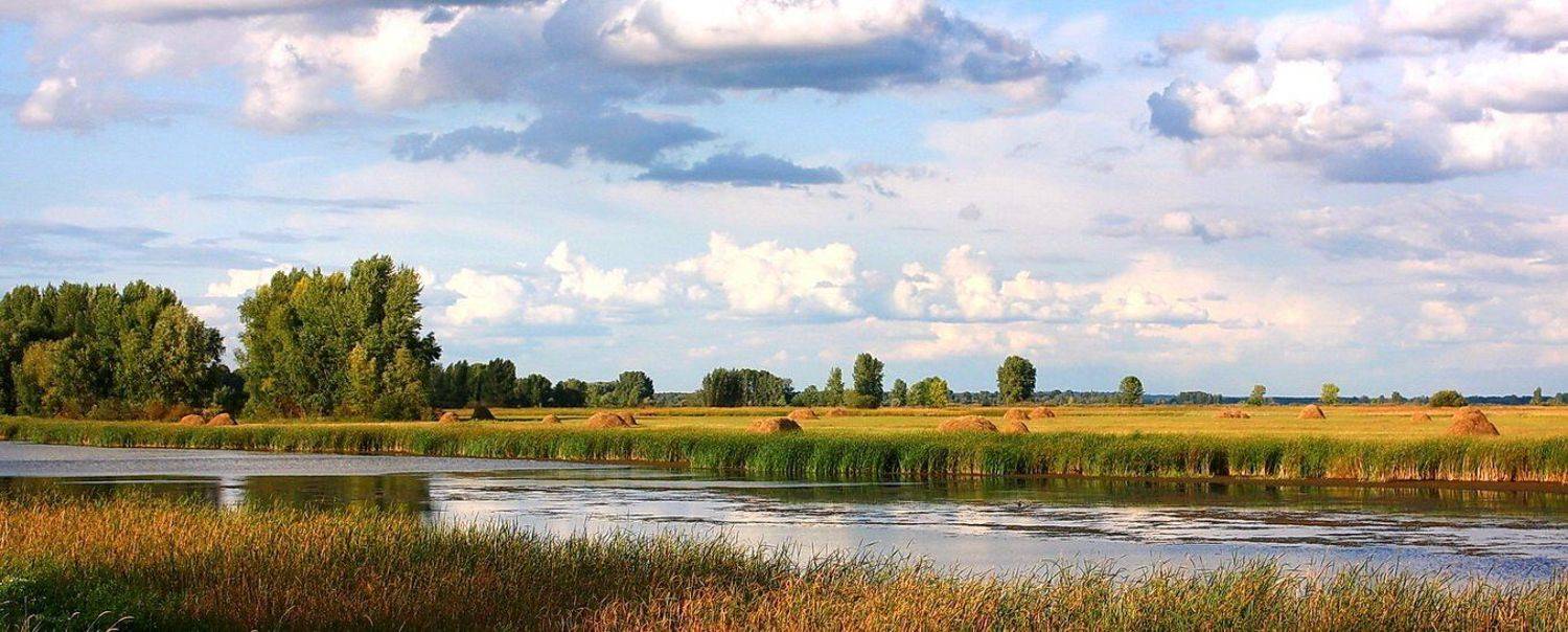 речка, лето, стога, лес, Михаил