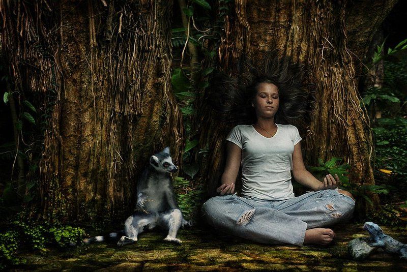 Deep forest фото превью