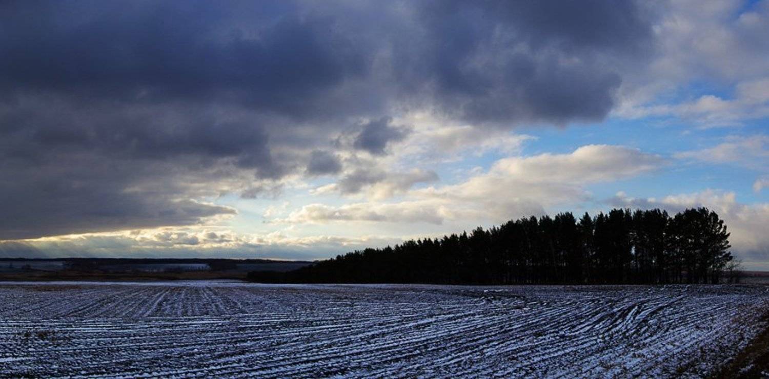 природа, зауралье, пейзаж, первый, снег, поле, лес, облака, Руденко Олег
