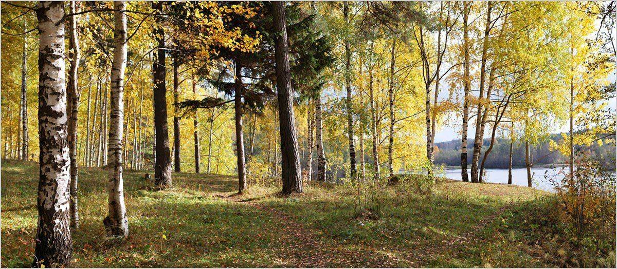 , Андрей Куликов