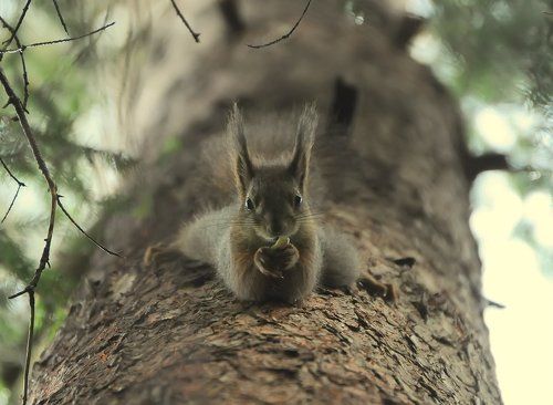 А ну-ка, отними!