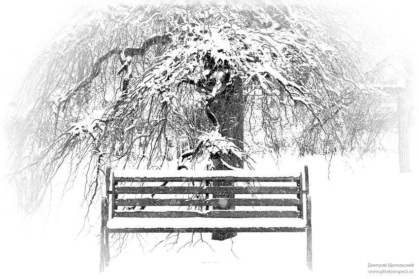 снег, скамейка, дерево, Дмитрий Щегельский