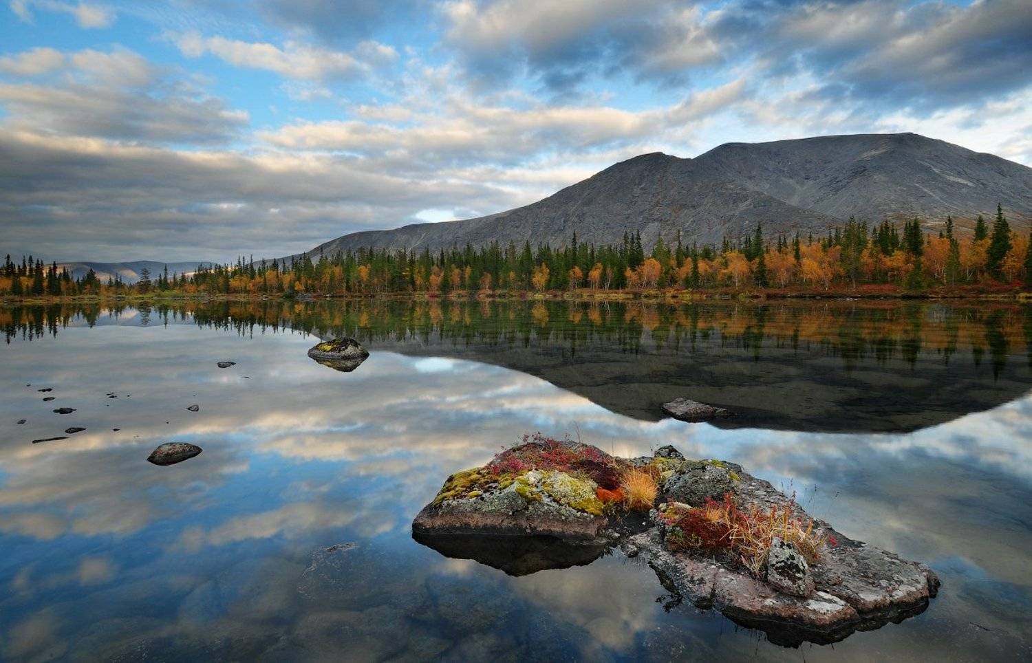 хибины,горы,кльский п-ов,север,осень, Roman Goryachiy