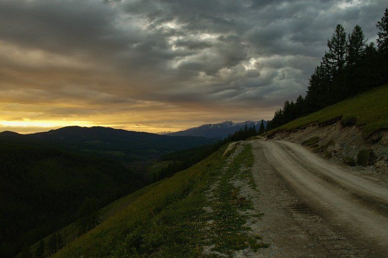 алтай, горы, природа, лес, кату ярык, перевал В горы... фото превью