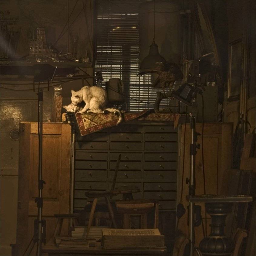 кошки, любовь, интерьер, Надежда Колдышева