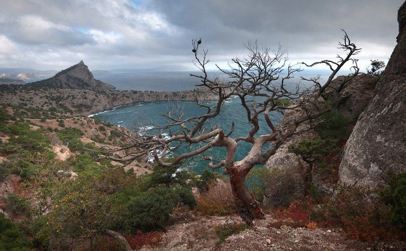 горы, море, осень, , облака Караул- Оба фото превью