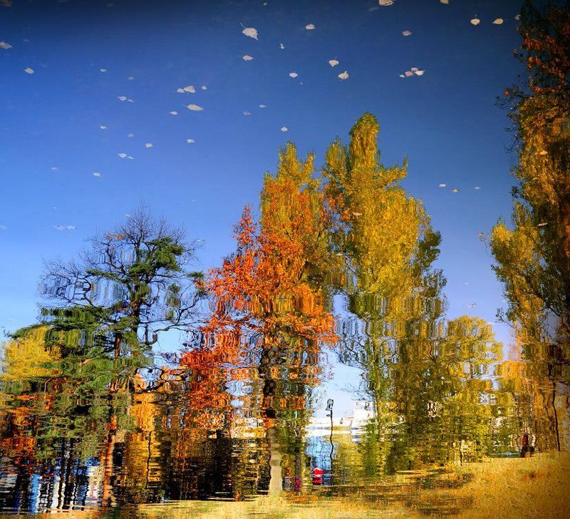 Осенние отражение. фото превью