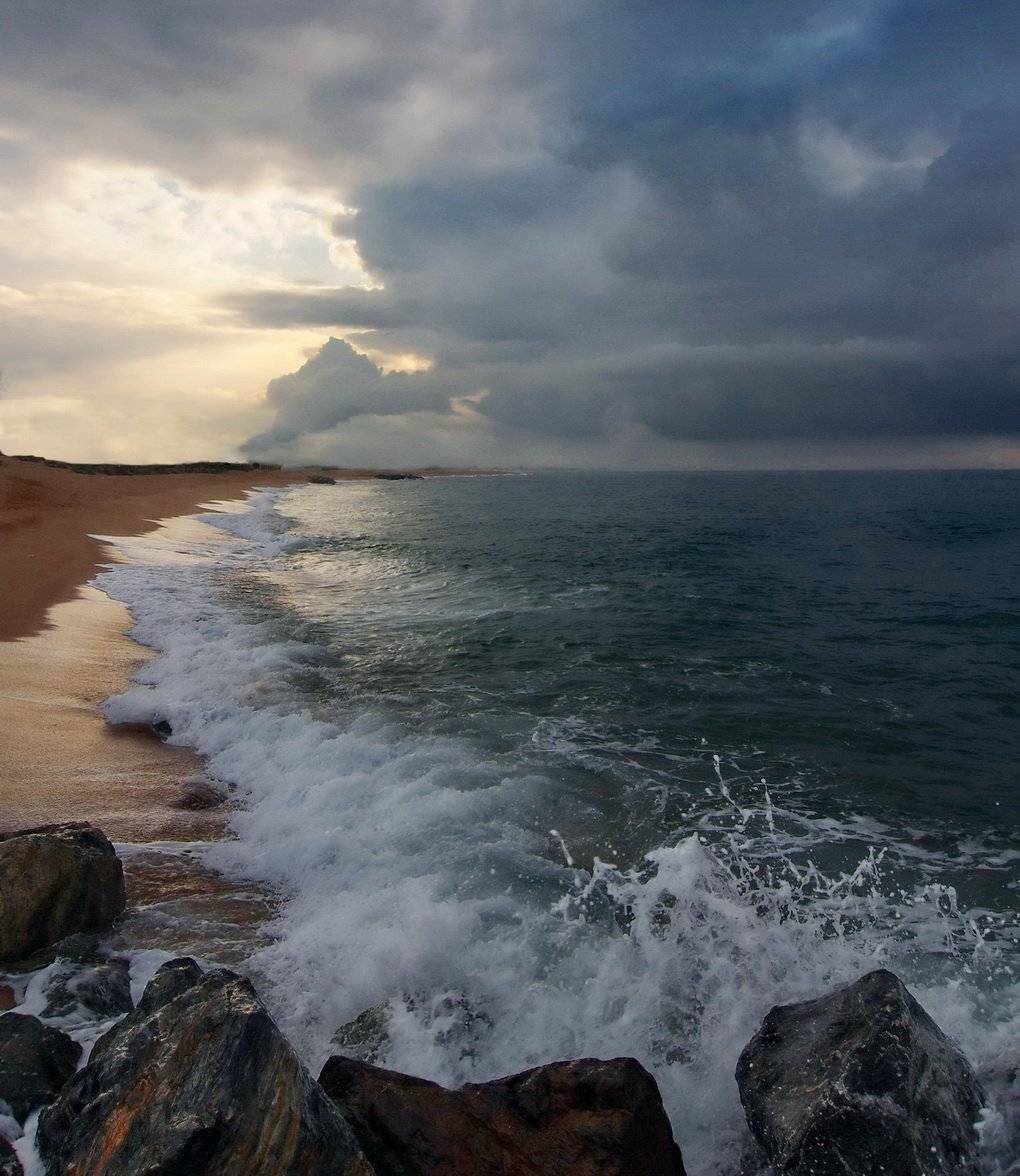 море, рассвет, Людмила Прокофьева