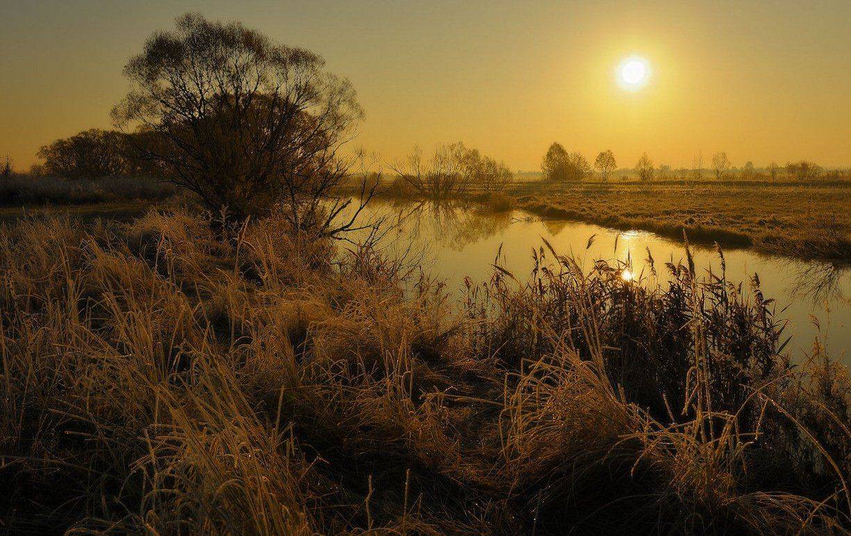 , Андрей Балабин
