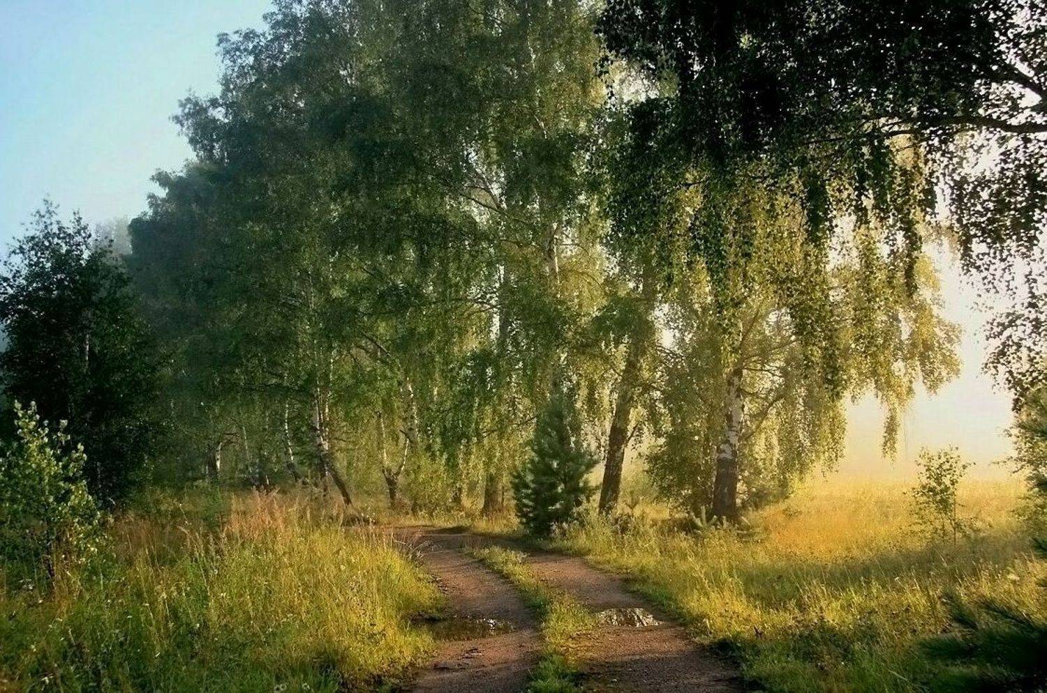 , Василий Черкасский