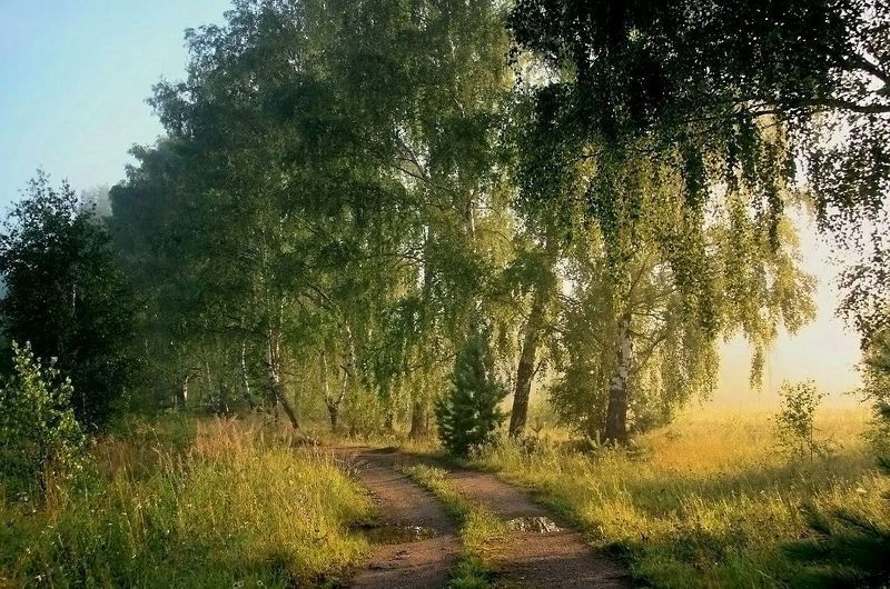 Прогоняя ночь фото превью