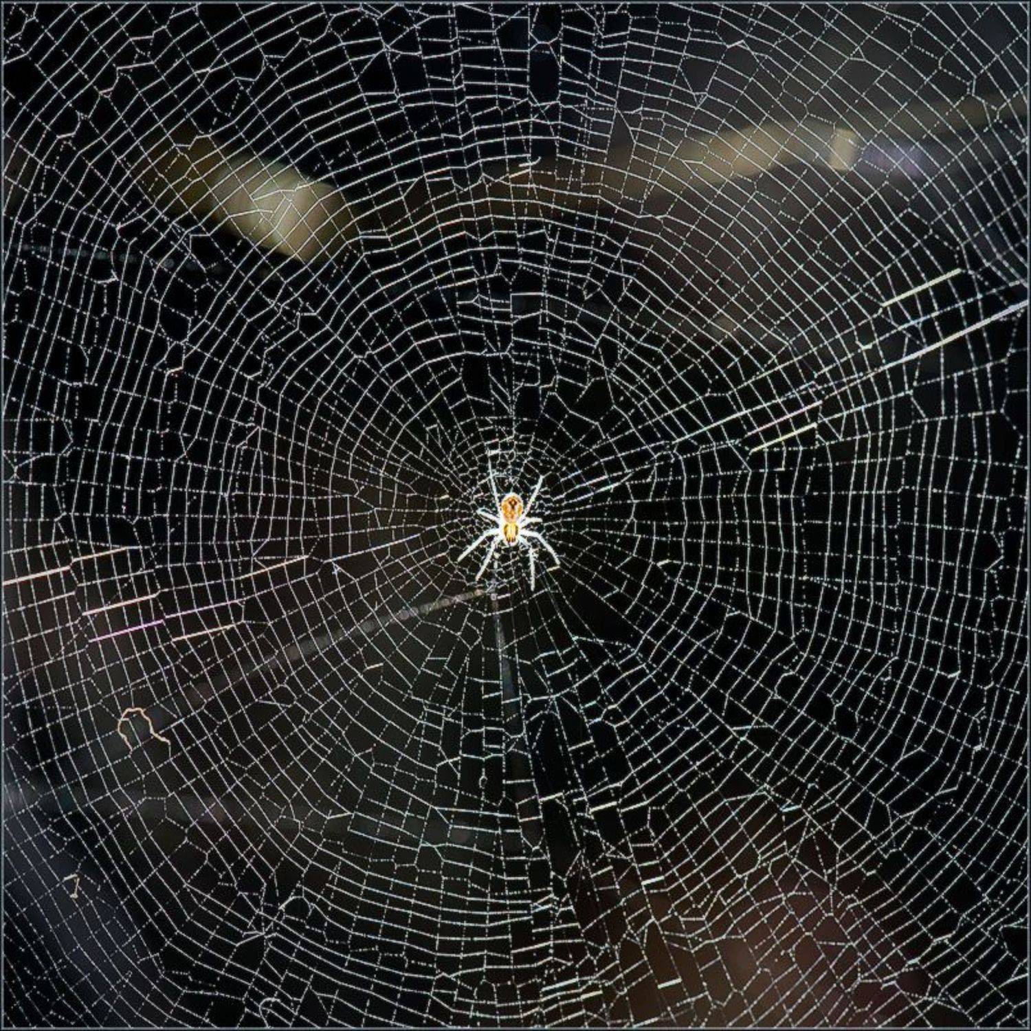 , Александр Константинов