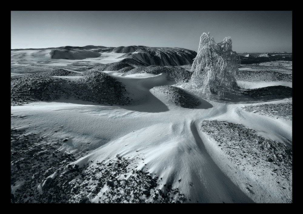 зима, дерево, мороз, террикон, январь, снег, ветер, Петриченко Валерий