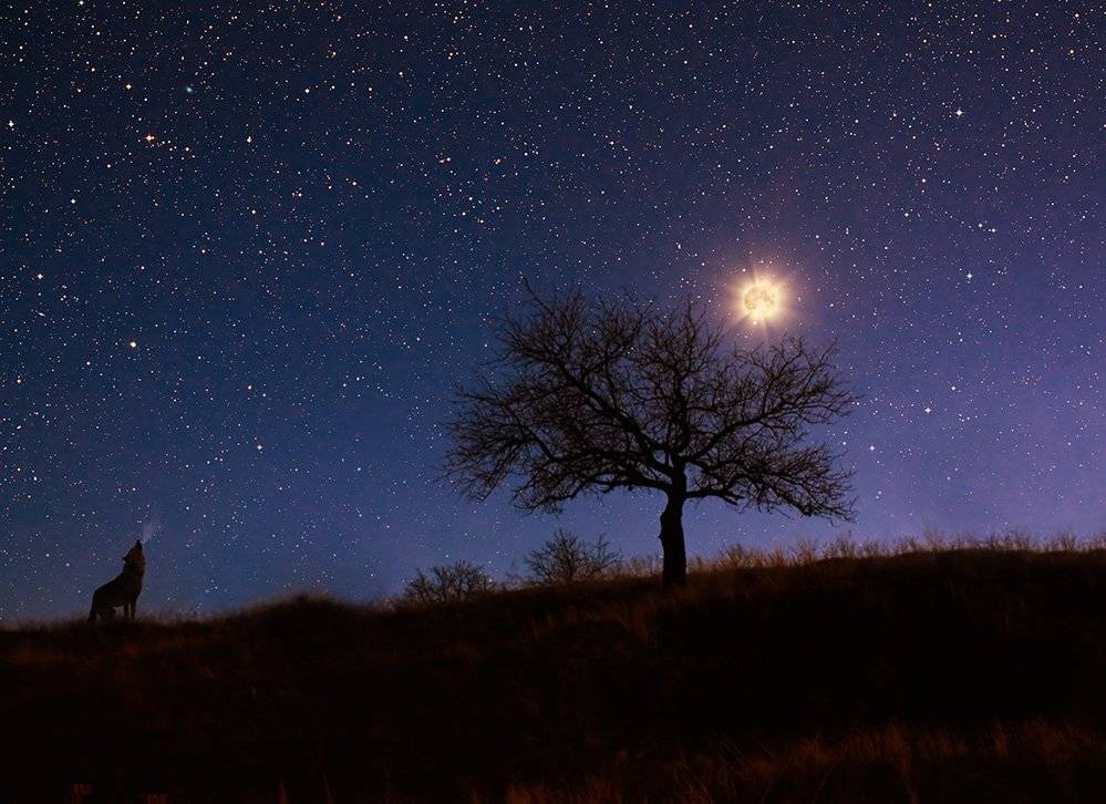 , Александр