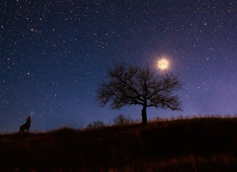 Просторы ночи фото превью