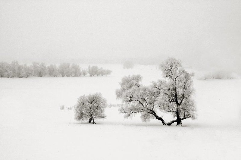 Безымянная... фото превью