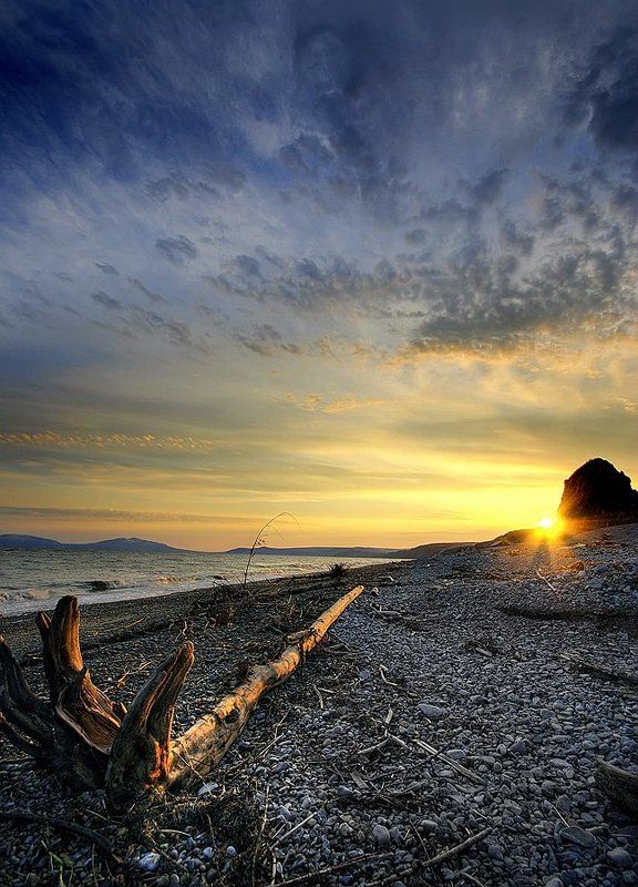Закат с бревном фото превью