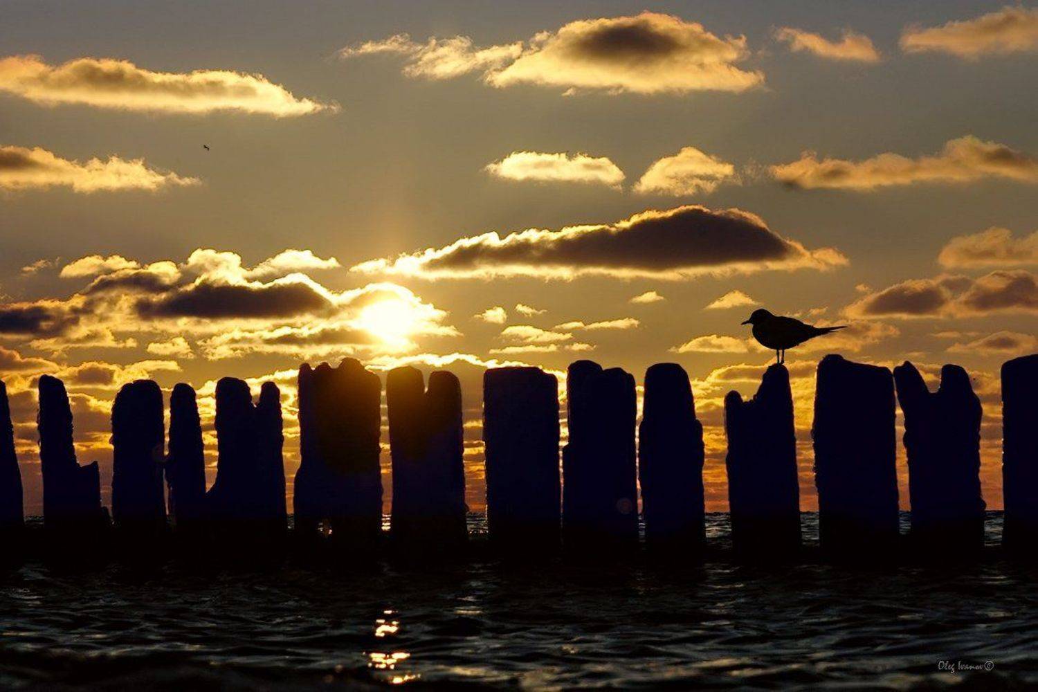 море, балтийск, облака, небо, балтика, закат, Олег Иванов