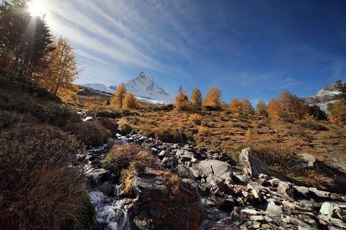 Просто осенний день