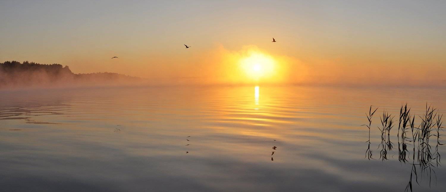 рассвет, утро, пробуждение, озеро, птицы, солнце, вода, восход, Динара
