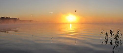 Пробуждение