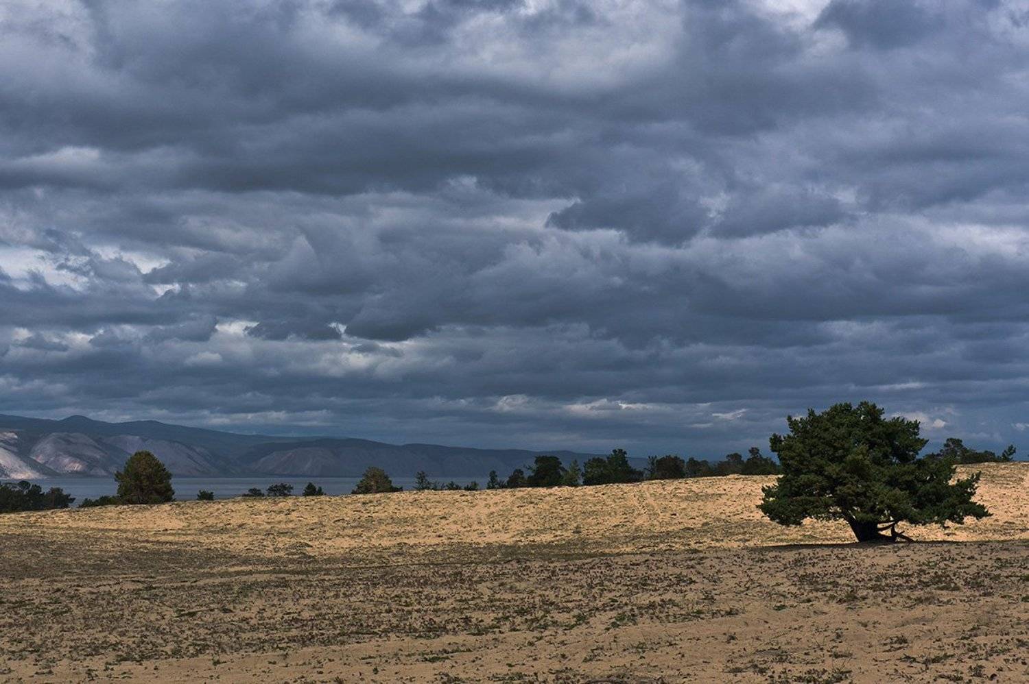 , Игорь Матвеев