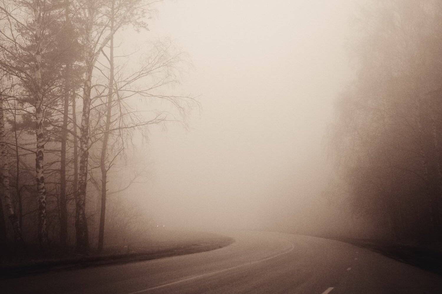 дорога, туман, Илясов Александр