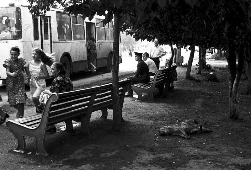 Анри-Картье Брессону... фото превью