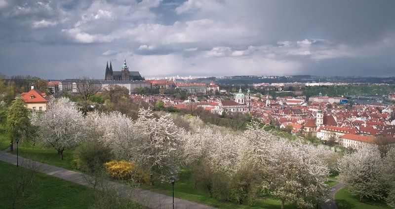 чехия,прага,весна,панорама Прага весенняя фото превью