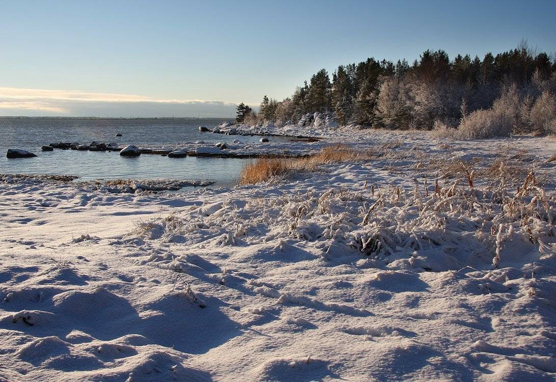 , Александр Коротков