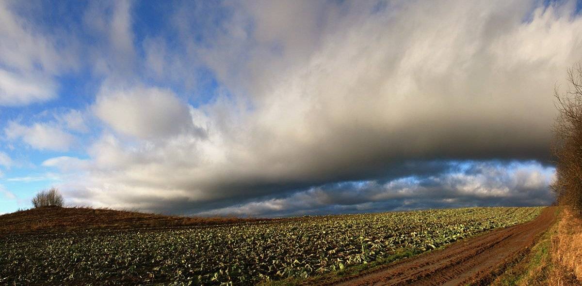 , Аркадий Белов