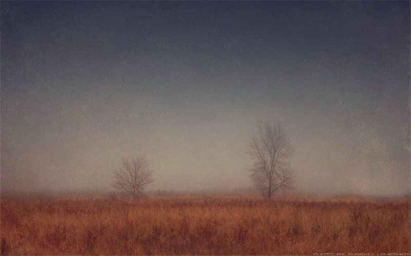 Туманная пара... фото превью