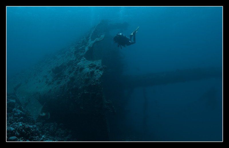 Giannis D фото превью