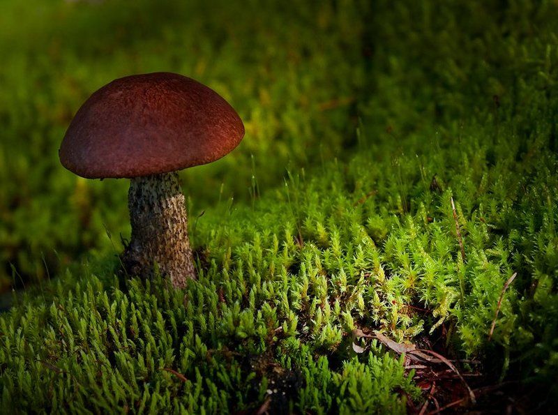 маленький фото превью