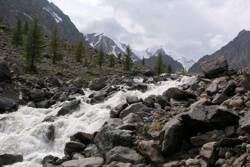 ущелье актру,горный алтай,горы В ущелье Актру. фото превью
