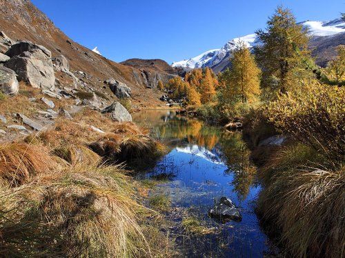 Не грустная осень