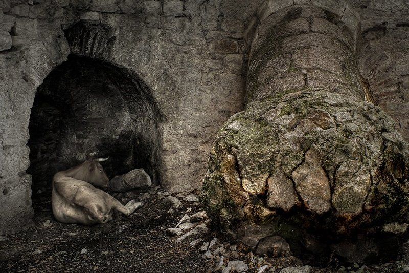 *** фото превью