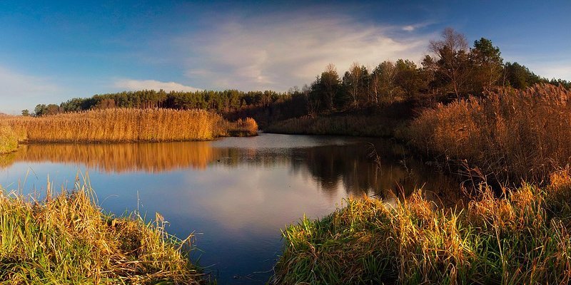 ... фото превью