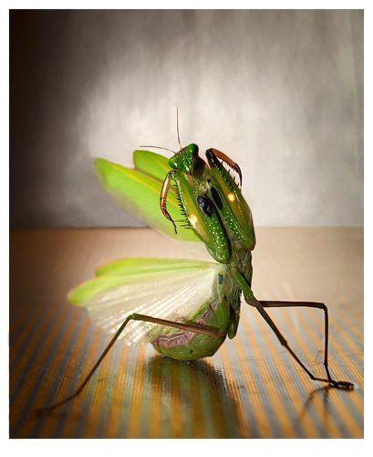 Кого я вижу!?