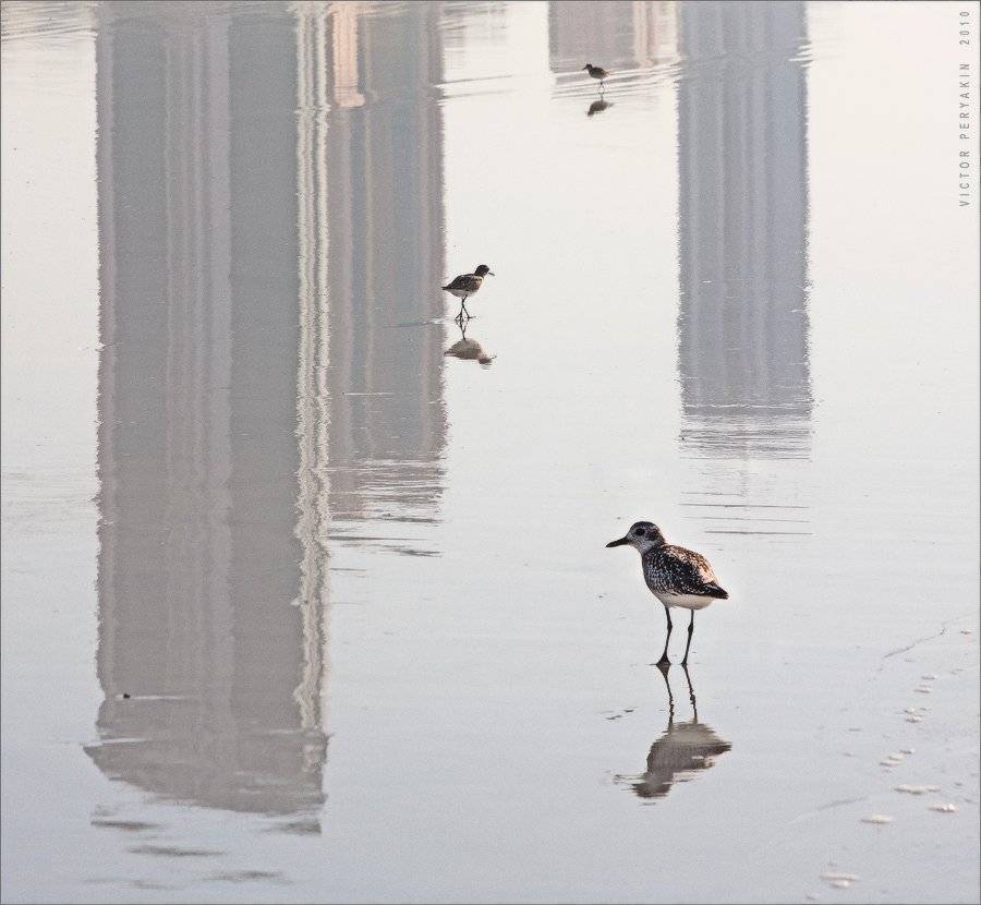 , Виктор Перякин