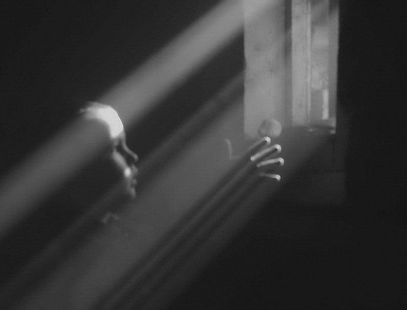 ловец солнца) фото превью