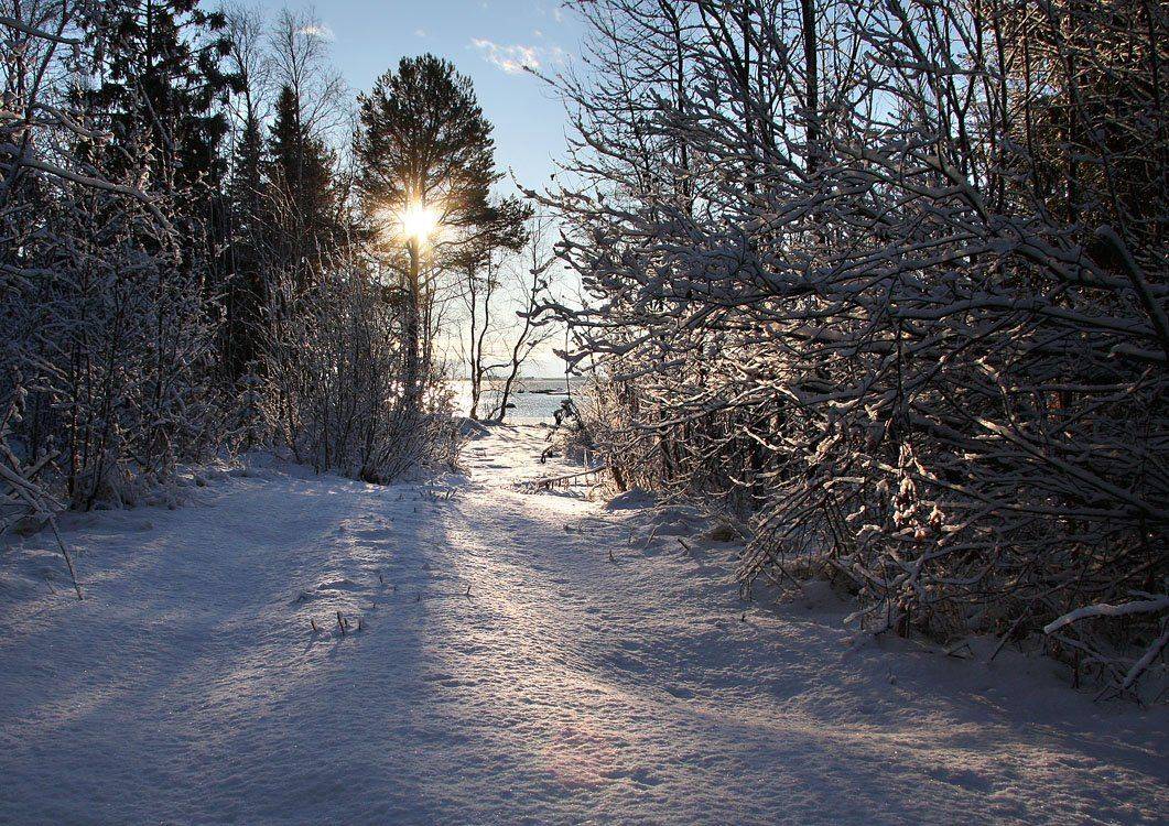 , Александр Коротков