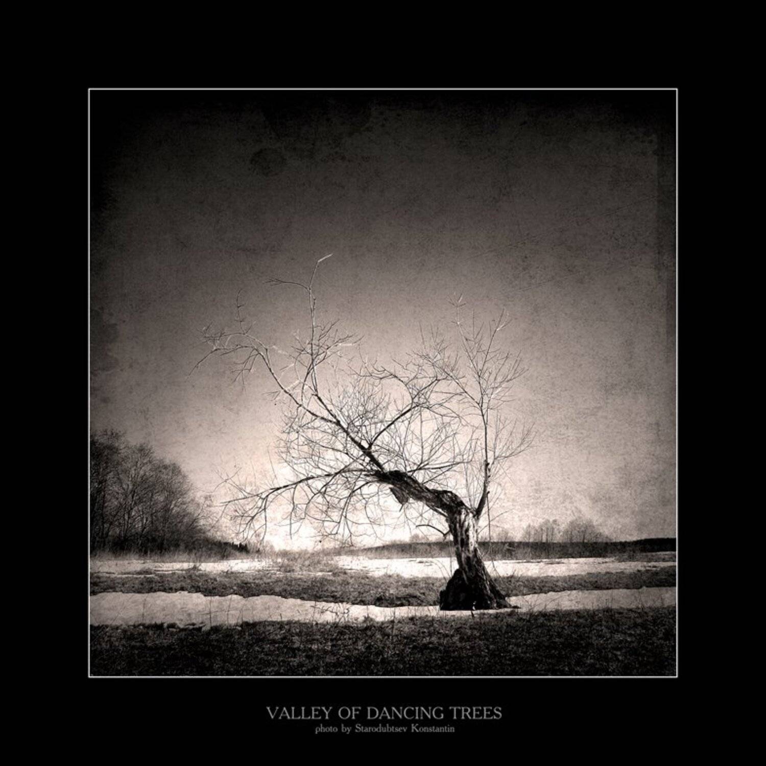 , Константин Стародубцев