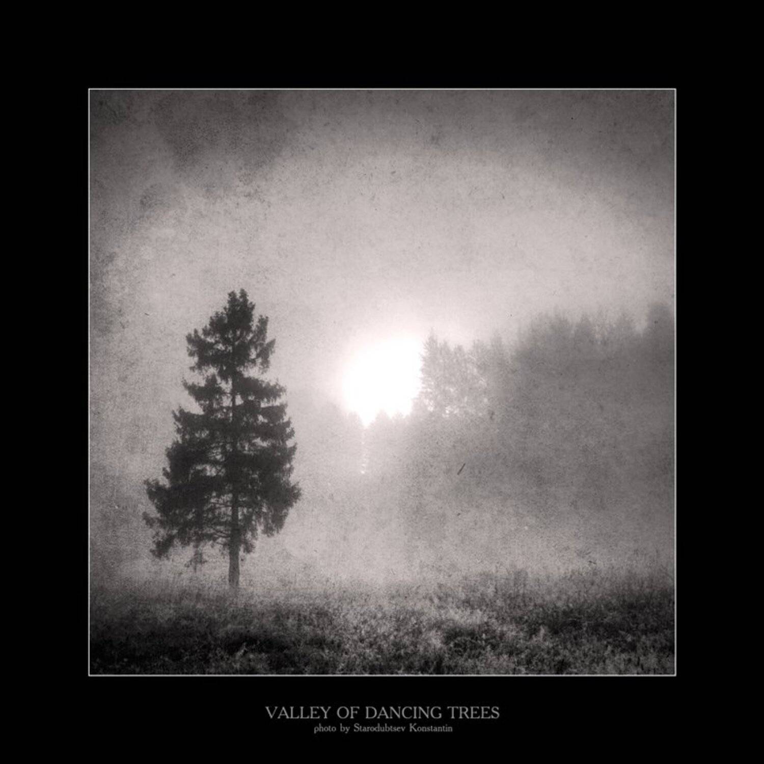 , Константин Стародубцев