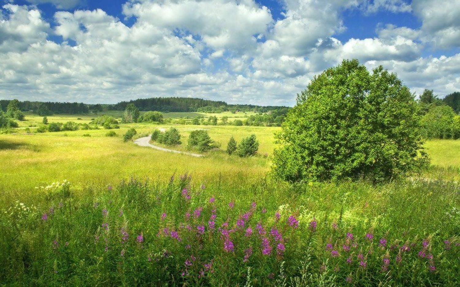 , Viktor Kalechenkov