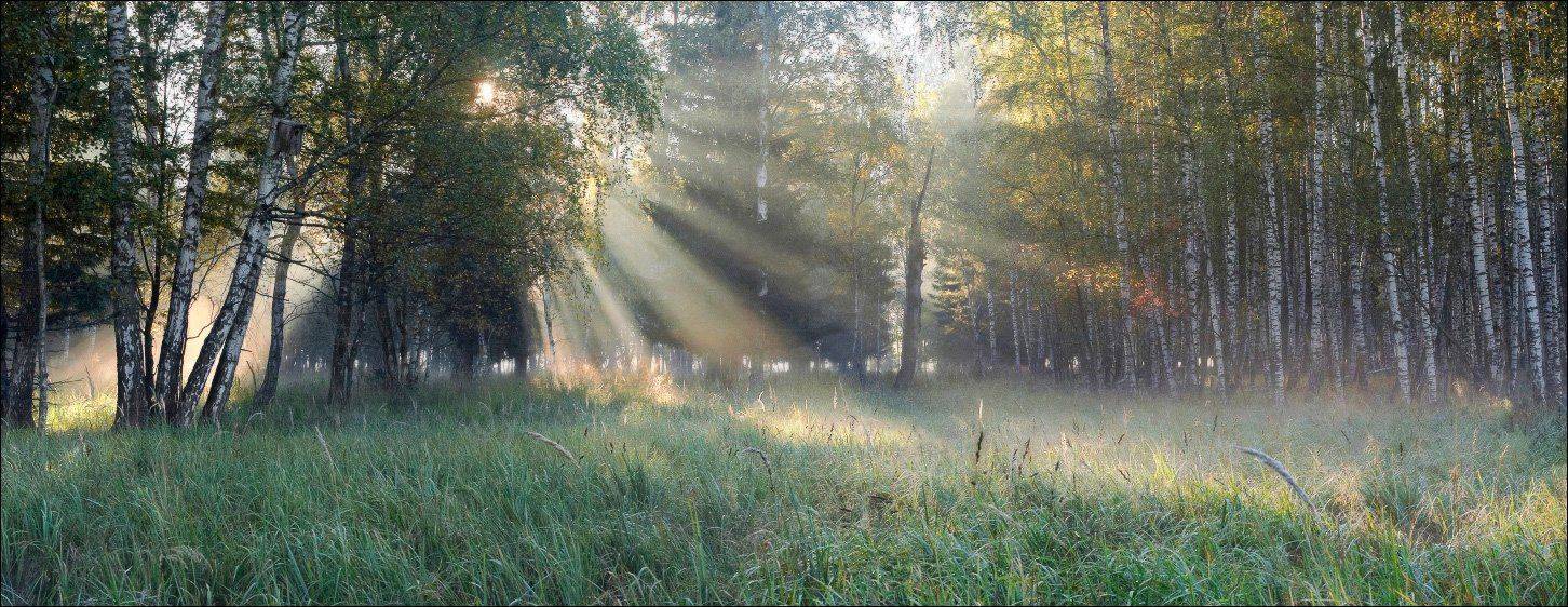 утреннее, сияние, #2, Вадим Никифоров