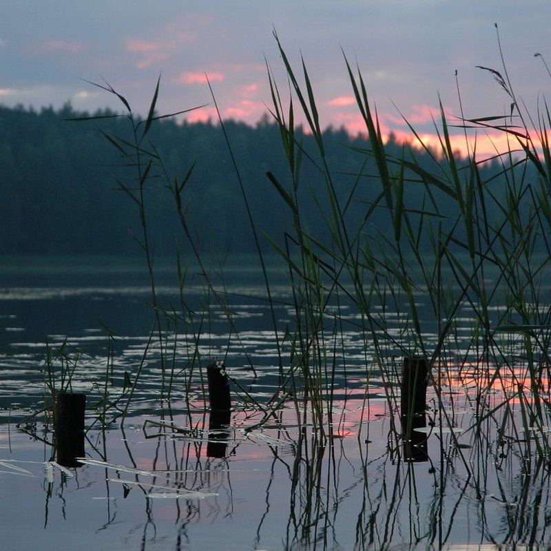 озеро, селигер Заплавская гладь ... фото превью